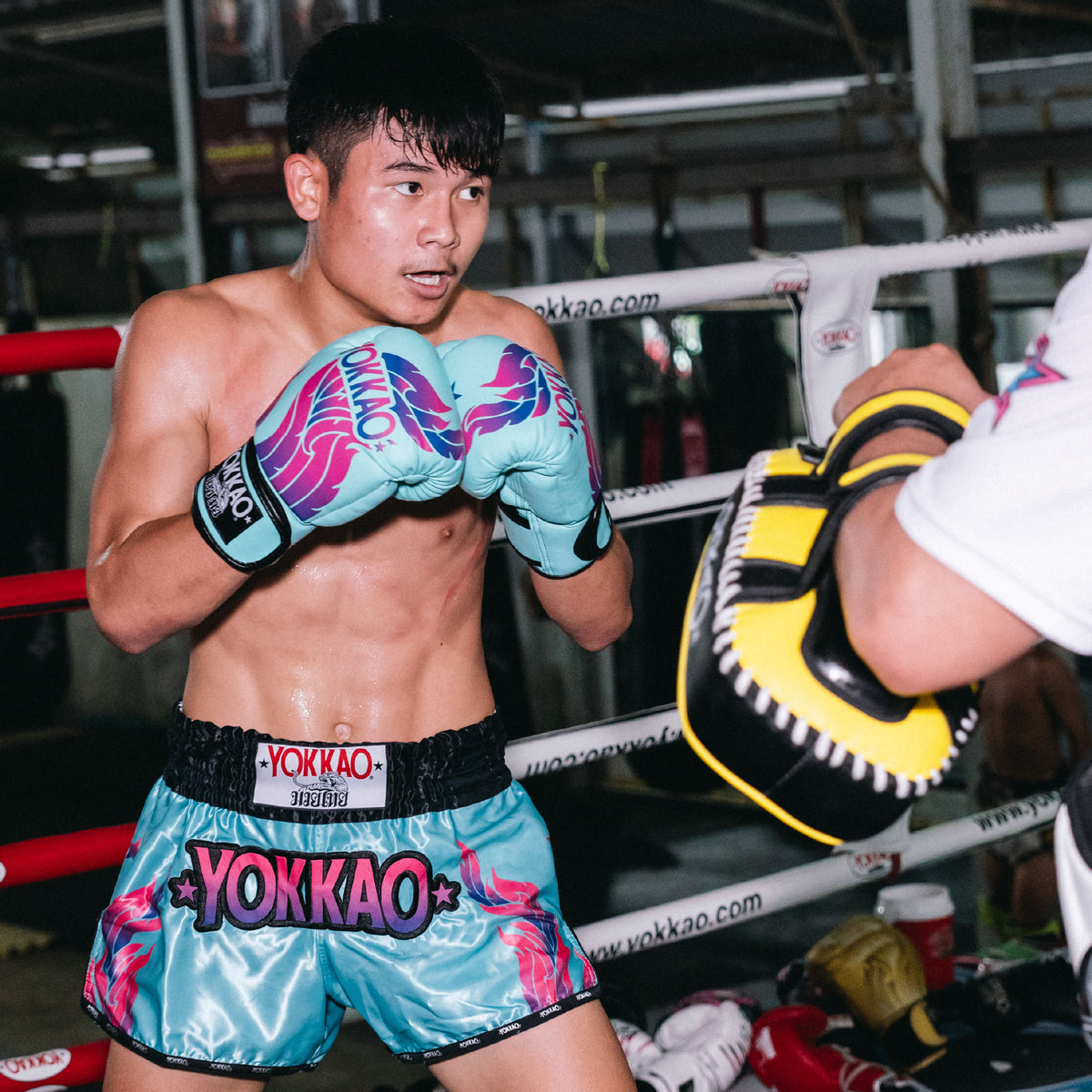 Muay Thai fighter training wearing Yokkao gloves and shorts in a boxing ring.